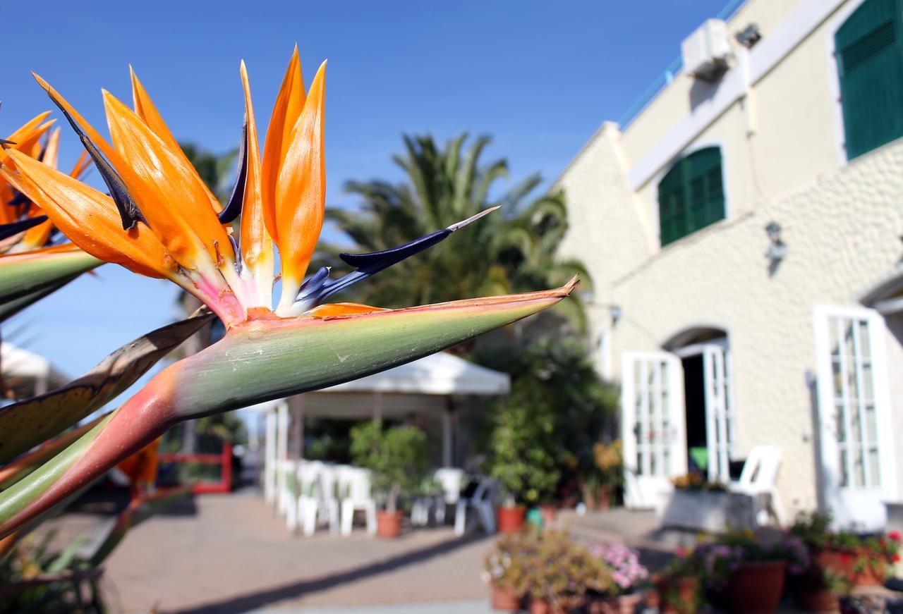 Albergo Ristorante Lucciola Santo Stefano al Mare Exteriér fotografie