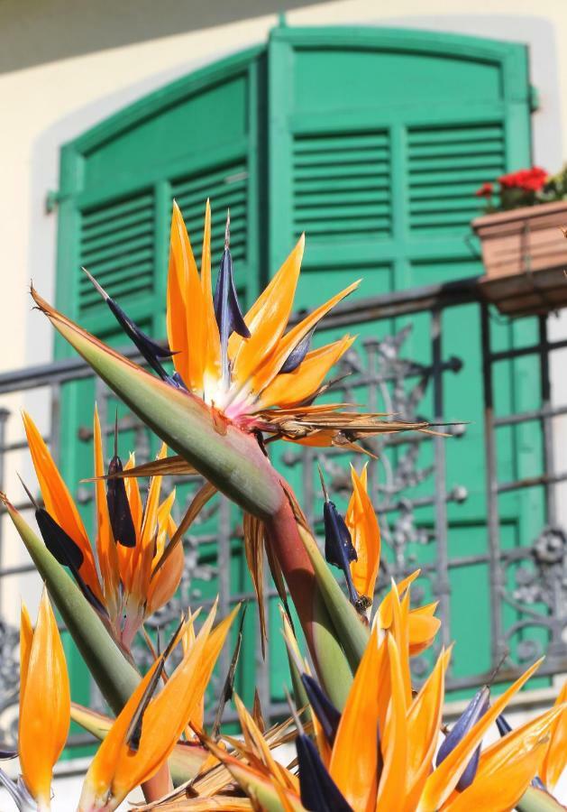 Albergo Ristorante Lucciola Santo Stefano al Mare Exteriér fotografie